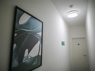 Picture 20